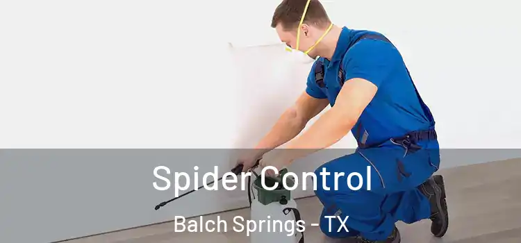  Spider Control Balch Springs - TX