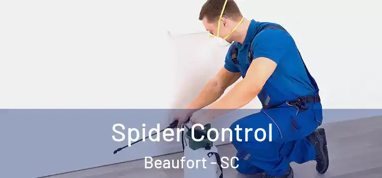 Spider Control Beaufort - SC