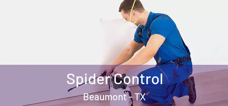  Spider Control Beaumont - TX