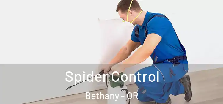 Spider Control Bethany - OR