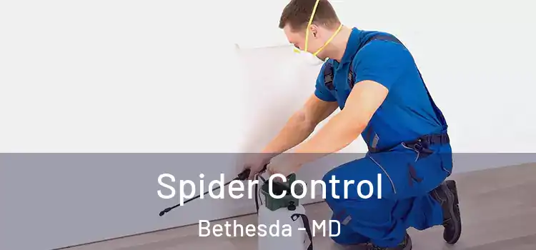 Spider Control Bethesda - MD