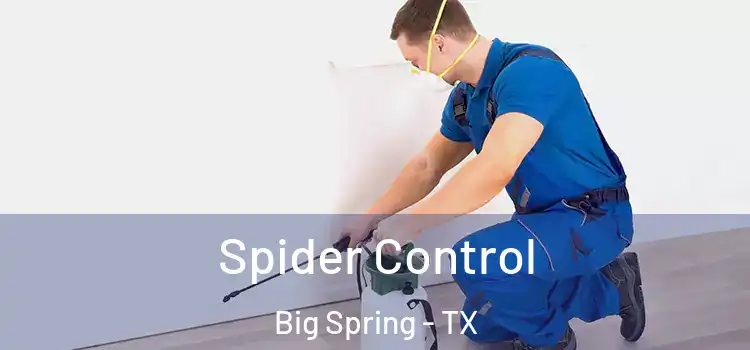 Spider Control Big Spring - TX