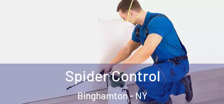 Spider Control Binghamton - NY