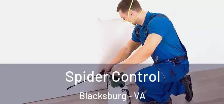 Spider Control Blacksburg - VA