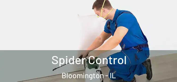 Spider Control Bloomington - IL