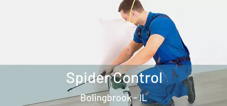 Spider Control Bolingbrook - IL