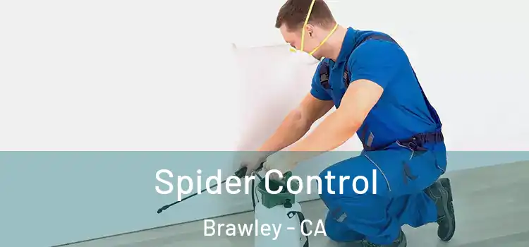  Spider Control Brawley - CA