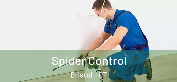 Spider Control Bristol - CT