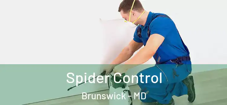 Spider Control Brunswick - MD