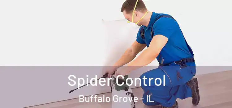  Spider Control Buffalo Grove - IL