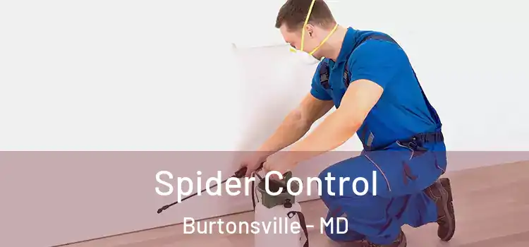 Spider Control Burtonsville - MD