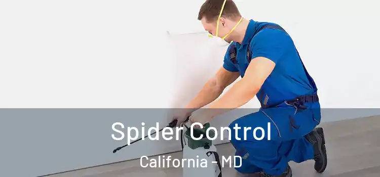 Spider Control California - MD