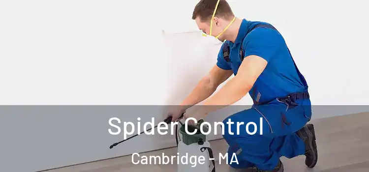  Spider Control Cambridge - MA