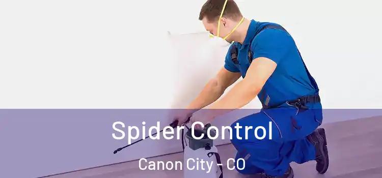  Spider Control Canon City - CO