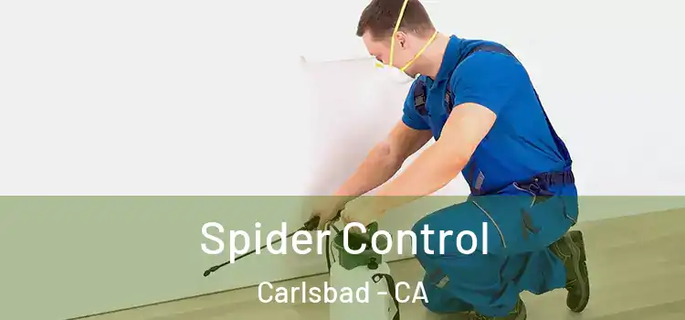  Spider Control Carlsbad - CA