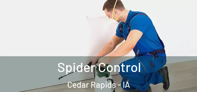  Spider Control Cedar Rapids - IA