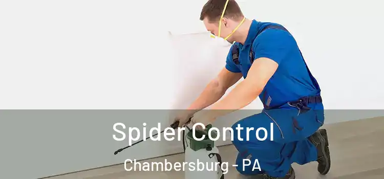  Spider Control Chambersburg - PA
