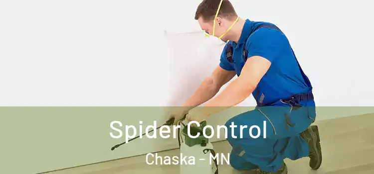  Spider Control Chaska - MN