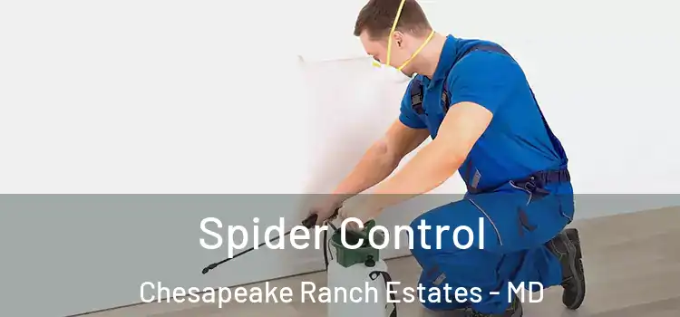 Spider Control Chesapeake Ranch Estates - MD