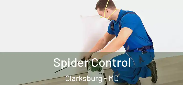  Spider Control Clarksburg - MD