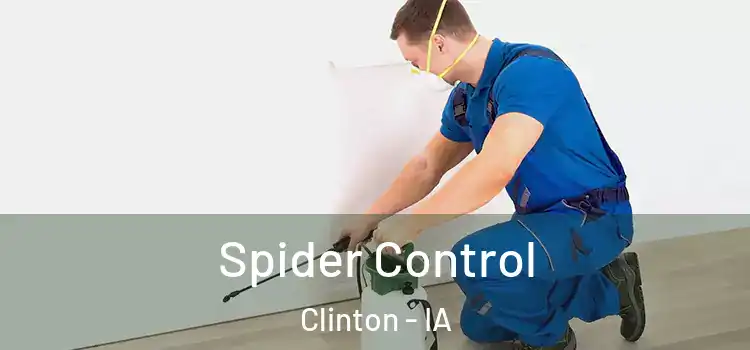  Spider Control Clinton - IA