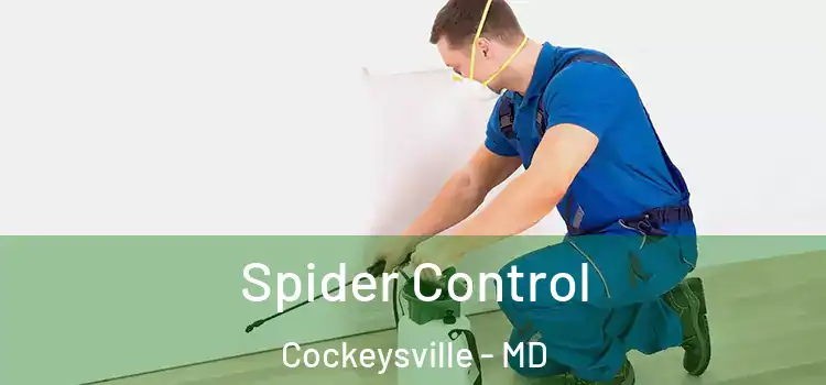 Spider Control Cockeysville - MD