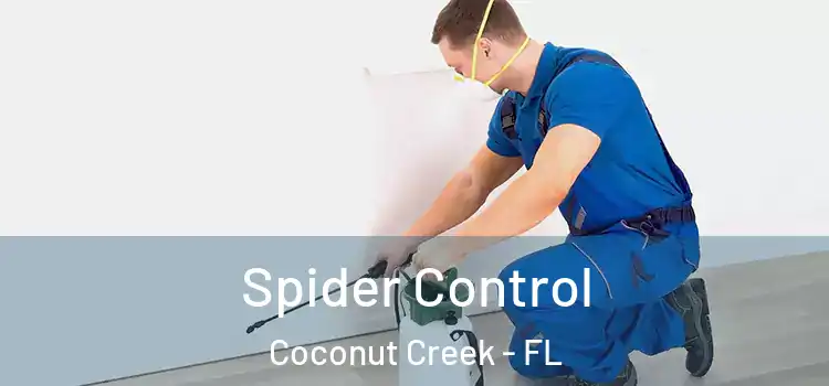  Spider Control Coconut Creek - FL