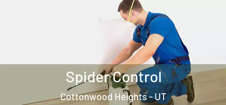  Spider Control Cottonwood Heights - UT