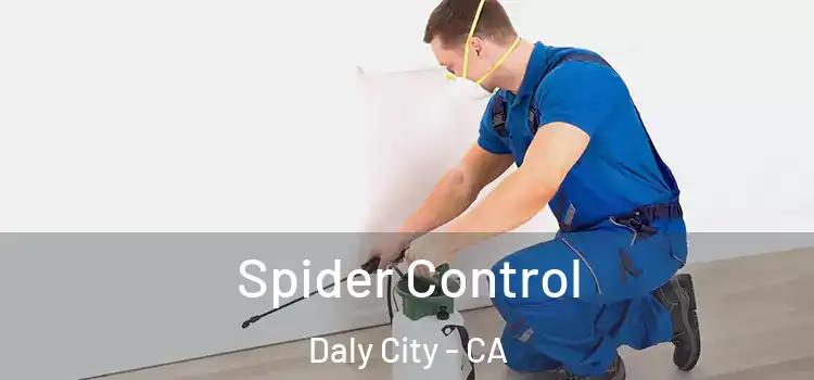  Spider Control Daly City - CA
