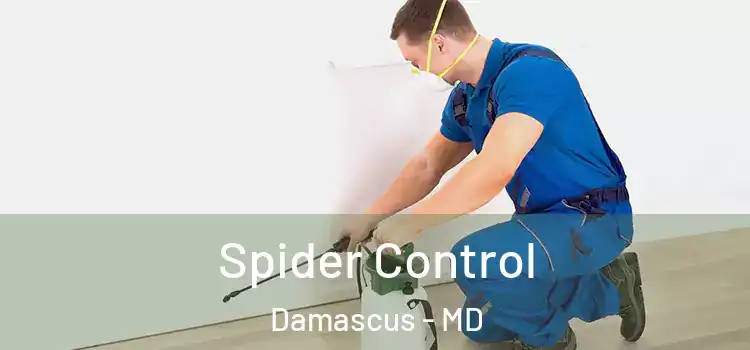 Spider Control Damascus - MD