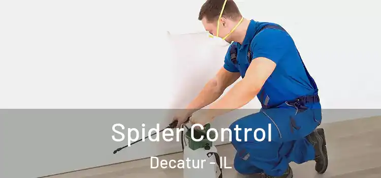 Spider Control Decatur - IL