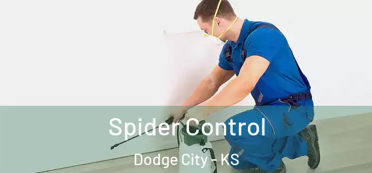  Spider Control Dodge City - KS
