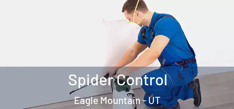  Spider Control Eagle Mountain - UT