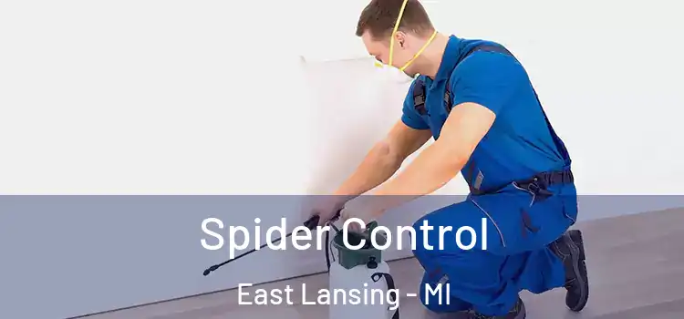 Spider Control East Lansing - MI