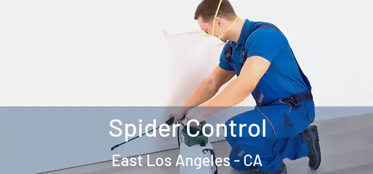  Spider Control East Los Angeles - CA
