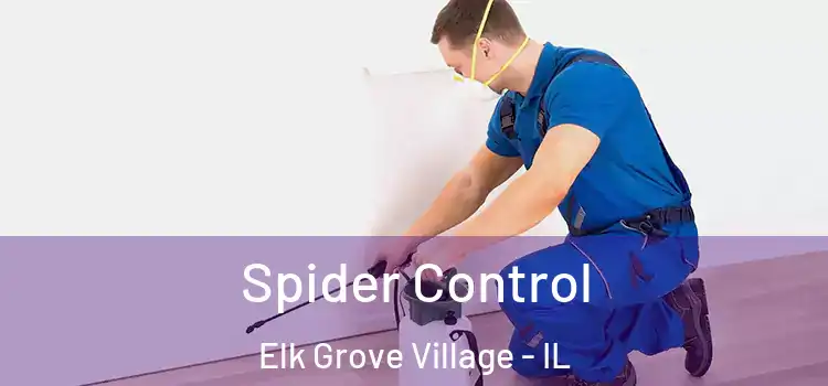 Spider Control Elk Grove Village - IL