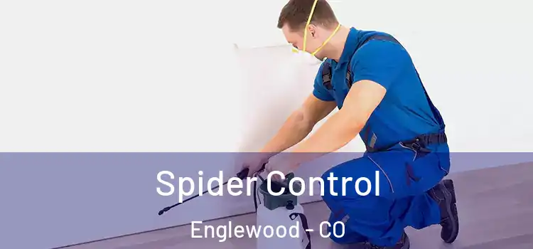 Spider Control Englewood - CO