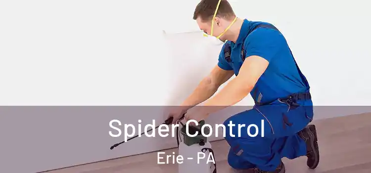  Spider Control Erie - PA