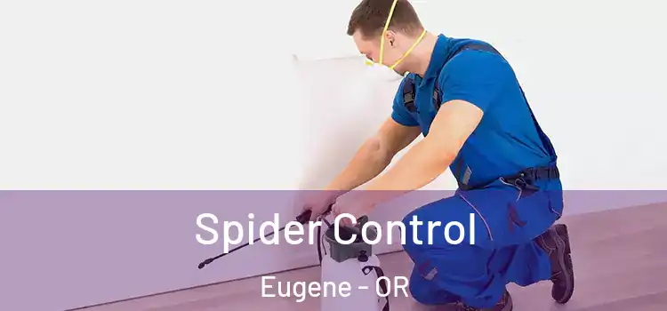 Spider Control Eugene - OR