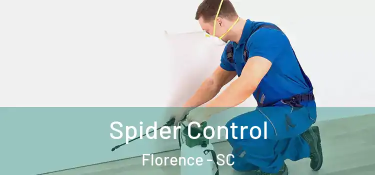 Spider Control Florence - SC
