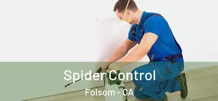 Spider Control Folsom - CA