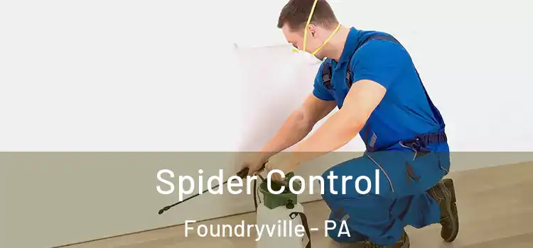  Spider Control Foundryville - PA