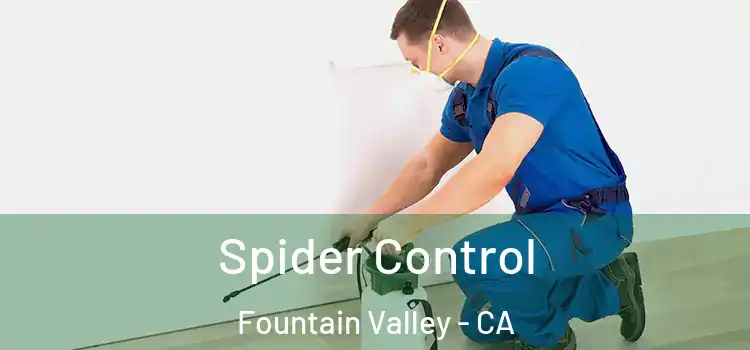 Spider Control Fountain Valley - CA