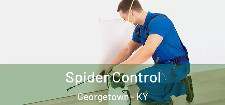  Spider Control Georgetown - KY