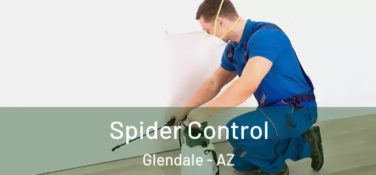 Spider Control Glendale - AZ