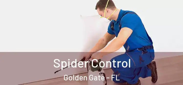  Spider Control Golden Gate - FL