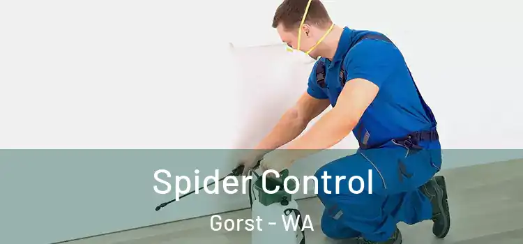 Spider Control Gorst - WA