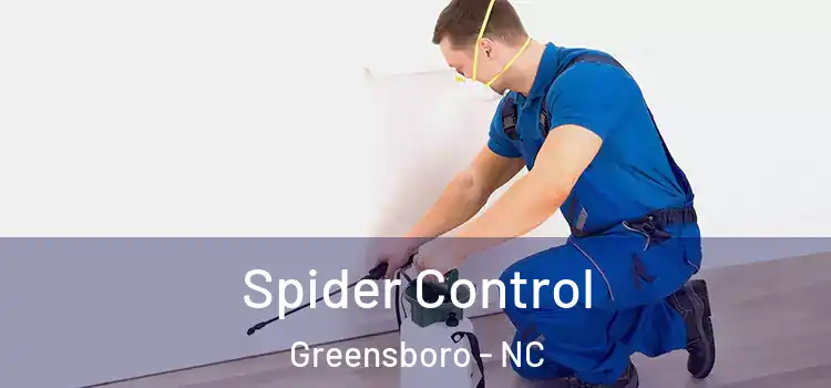  Spider Control Greensboro - NC