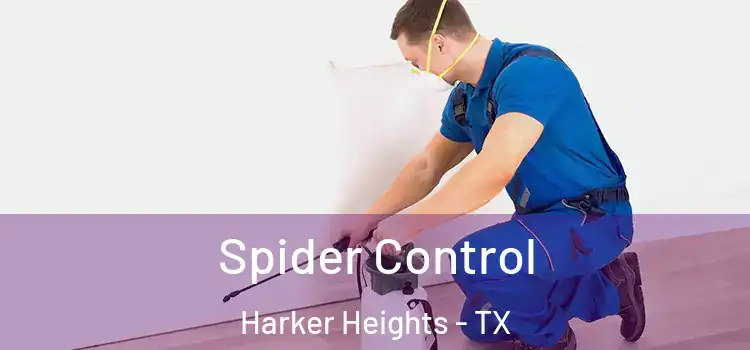 Spider Control Harker Heights - TX