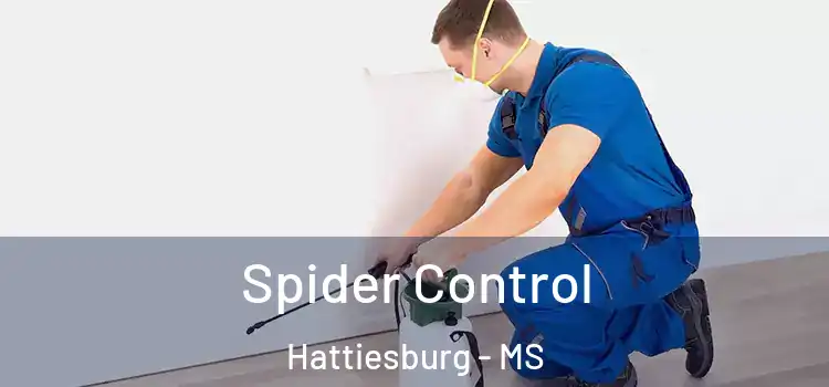  Spider Control Hattiesburg - MS